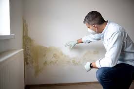 Best Biohazard Mold Removal in Third Lake, IL